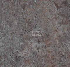 Линолеум Forbo Marmoleum Marbled Vivace 3421-342135 oyster mountain фото 1 | FLOORDEALER